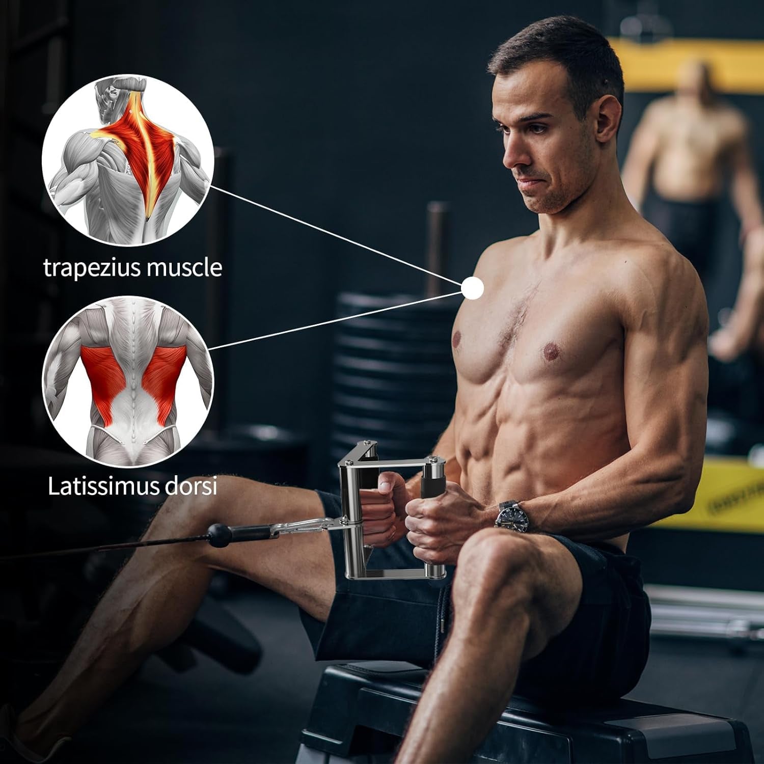 Cable Machine Attachment, LAT Pulldown Attachments, Cable Attachments for Gym, Home Gym Accessories